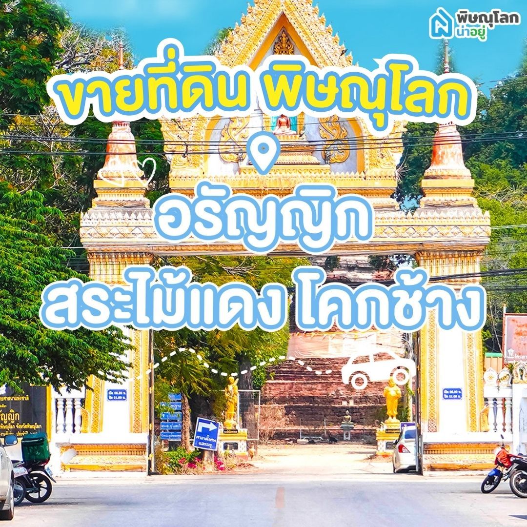 ขายที่ดิน พิษณุโลก โซนอรัญญิก - สระไม้แดง - โคกช้าง