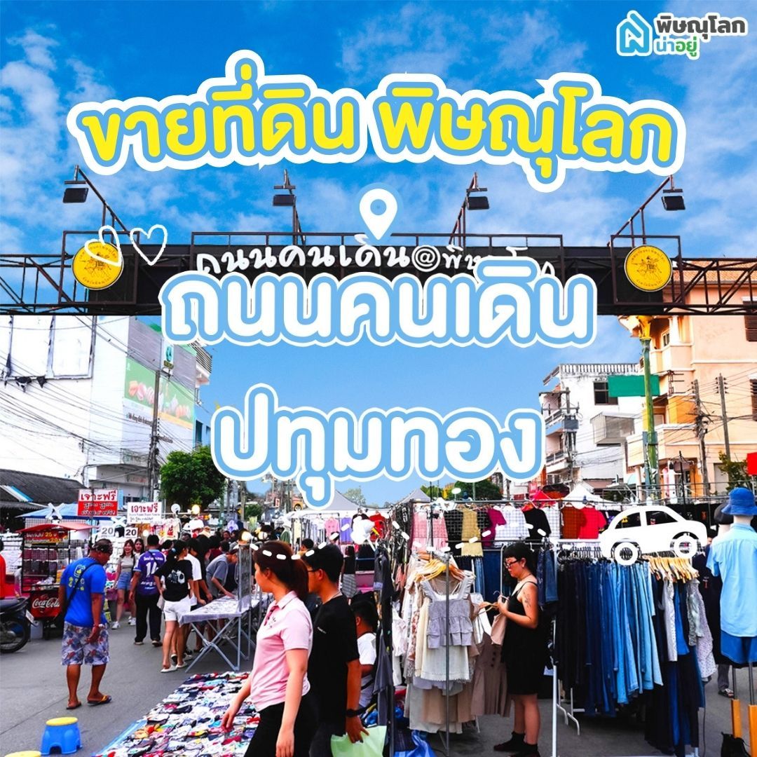 ขายที่ดิน พิษณุโลก โซนถนนคนเดิน - ปทุมทอง