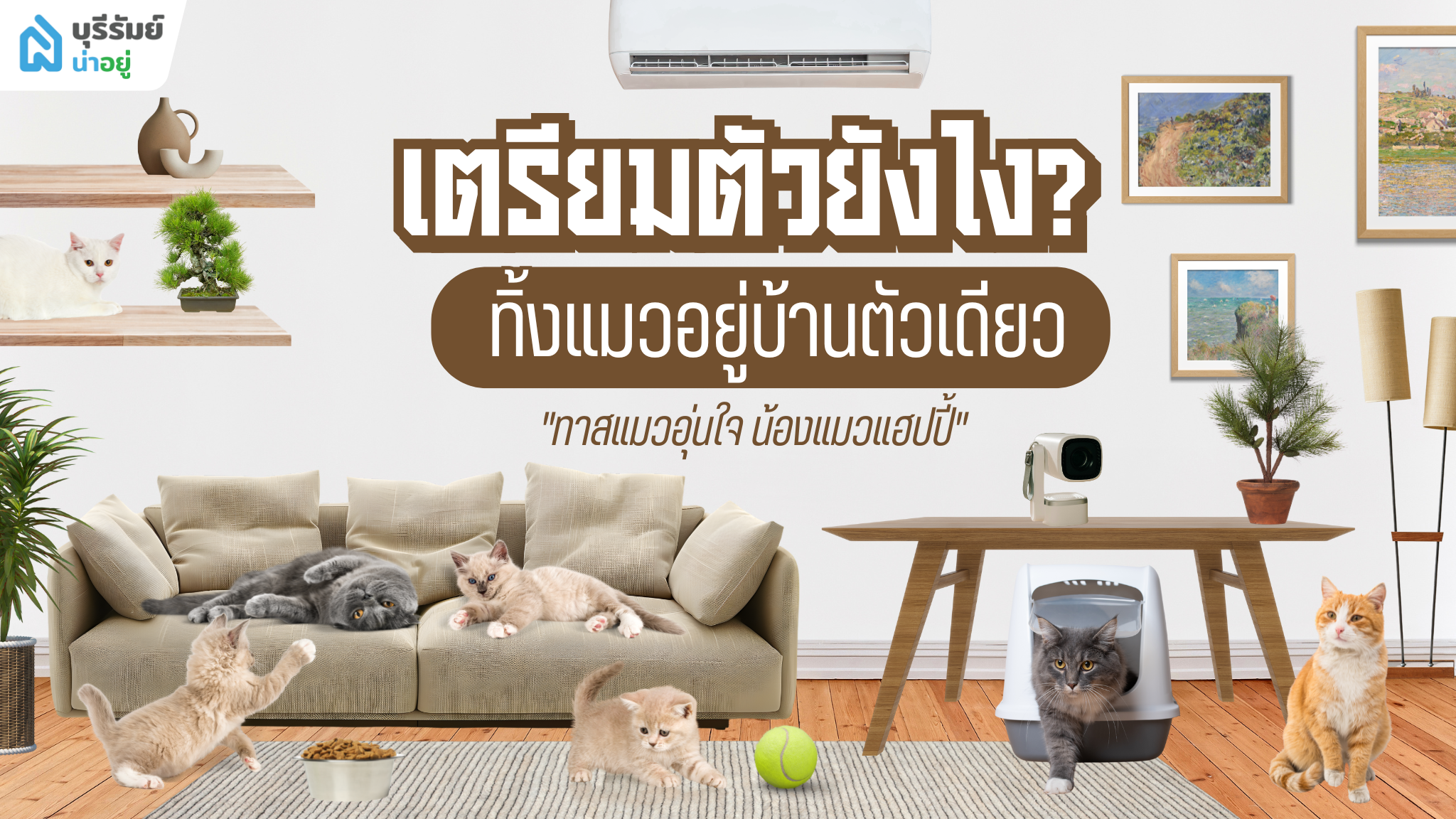 เช็กลิสต์ ทิ้งแมวอยู่บ้านตัวเดียว เตรียมตัวยังไง? ทาสแมวอุ่นใจ น้องแมวแฮปปี้