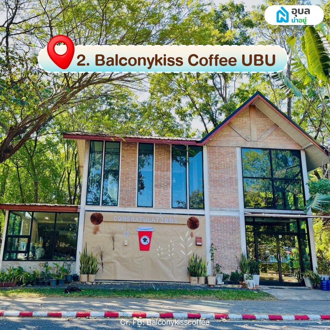 Balconykiss Coffee UBU 