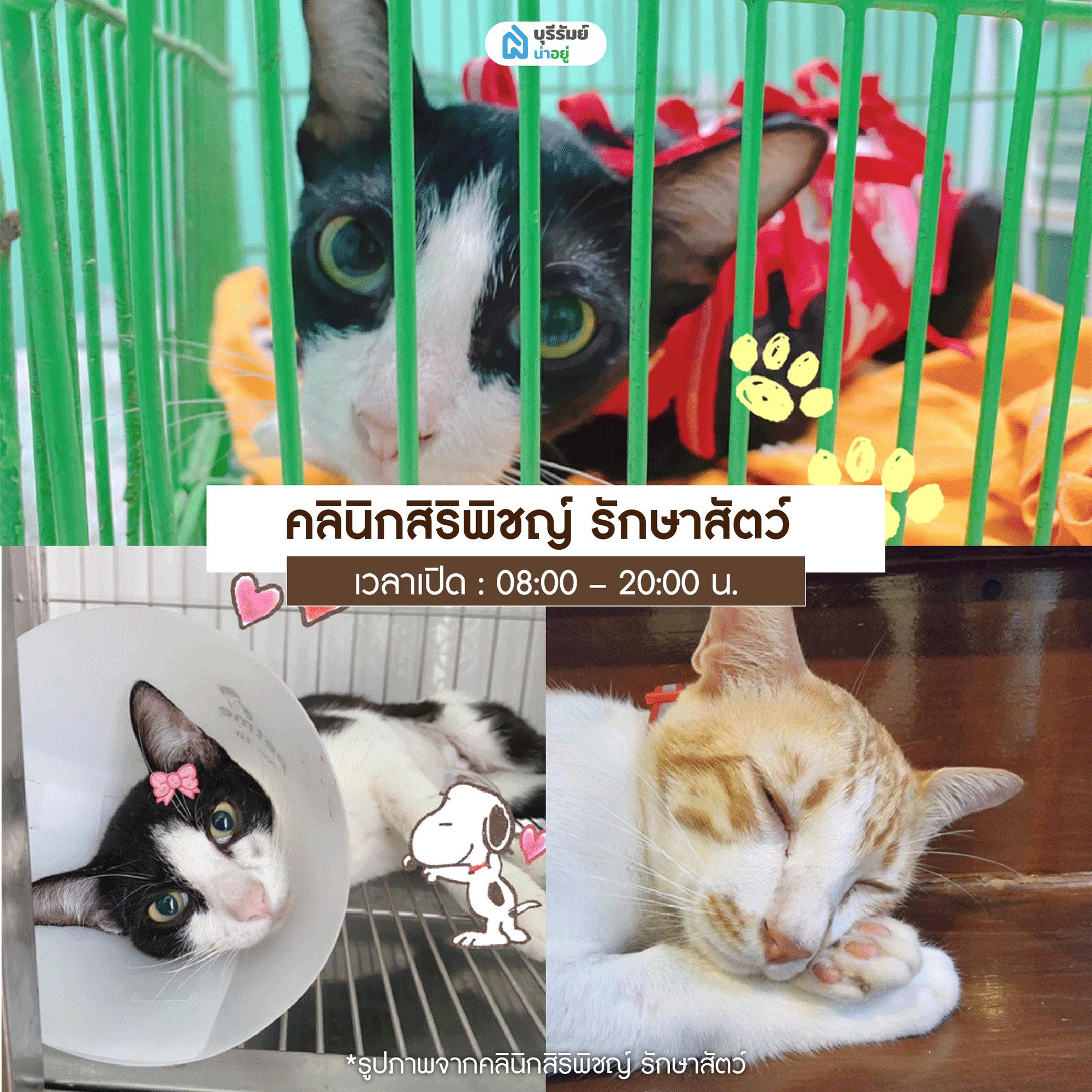  คลินิกสิริพิชญ์ รักษาสัตว์ 