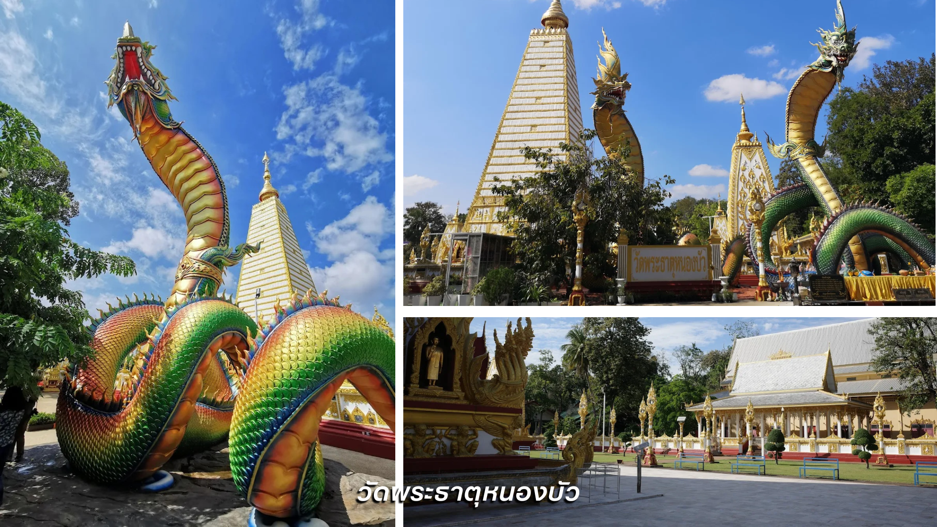 วัดพระธาตุหนองบัว
