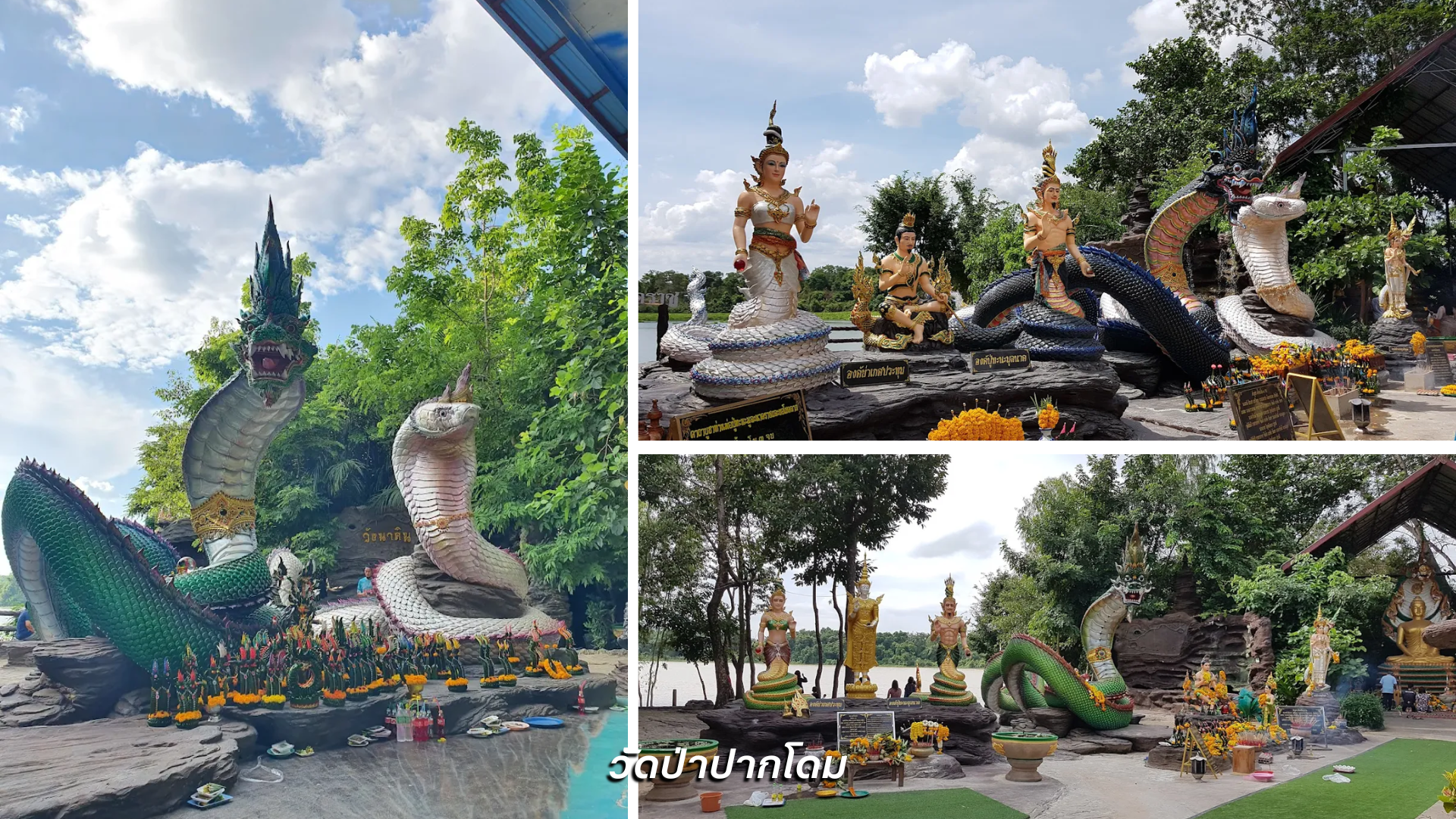 วัดป่าปากโดม