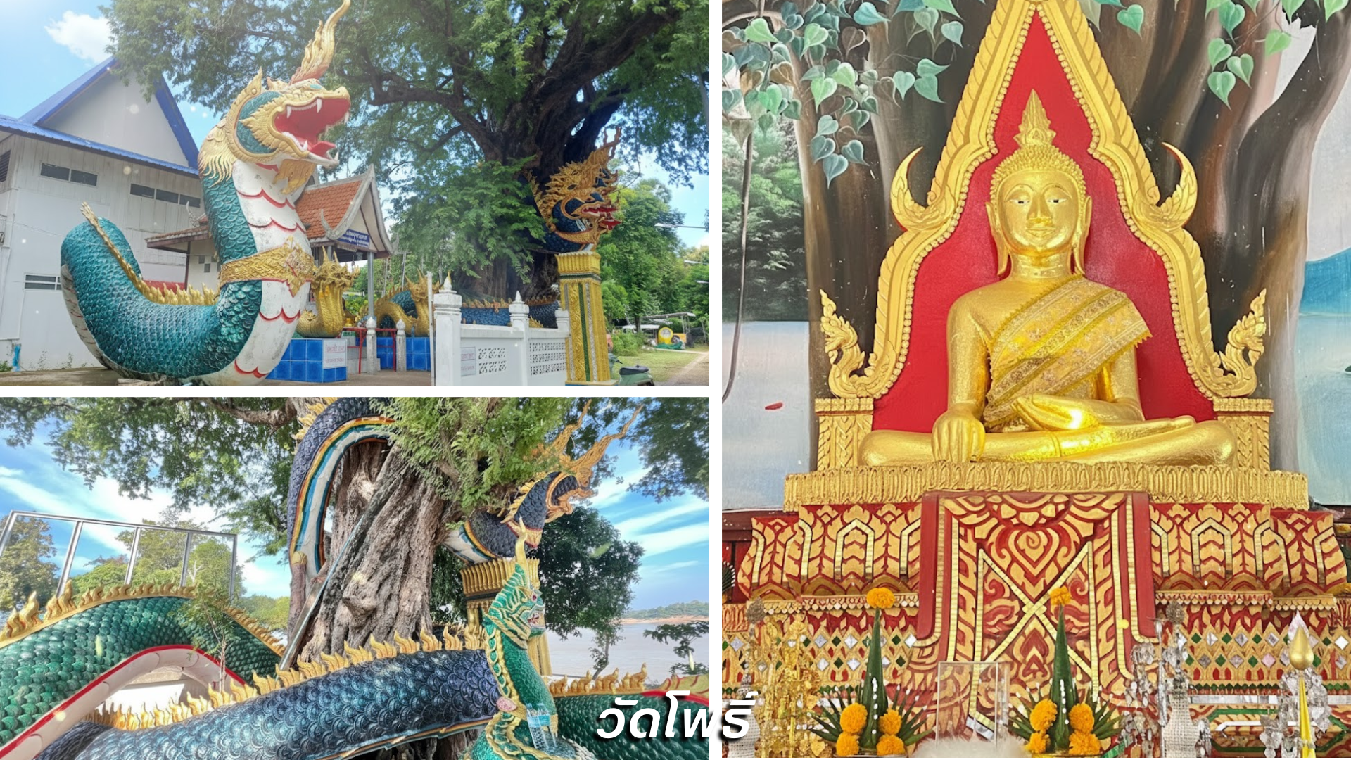 วัดโพธิ์