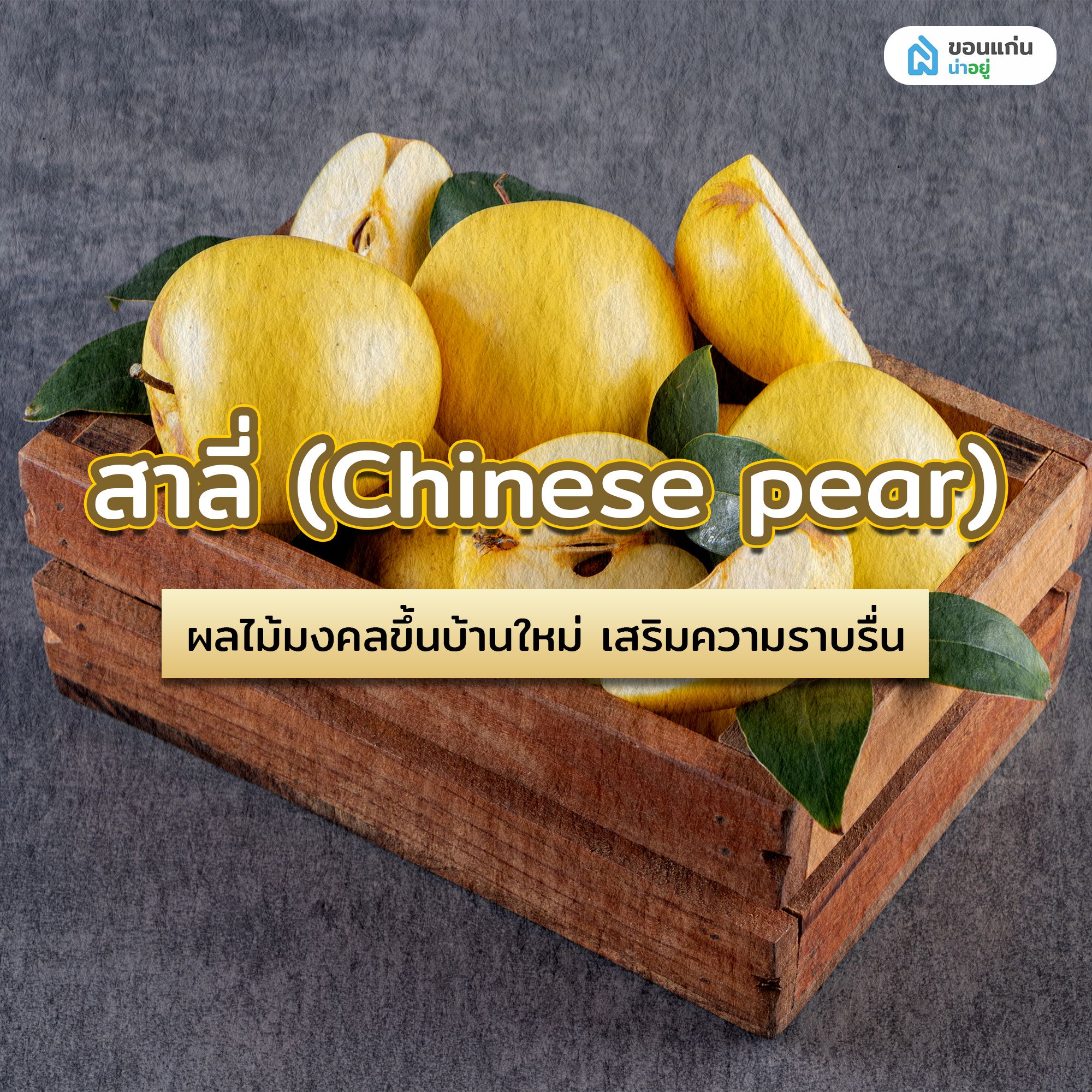 สาลี่ (Chinese pear) ผลไม้มงคลขึ้นบ้านใหม่ เสริมความราบรื่น