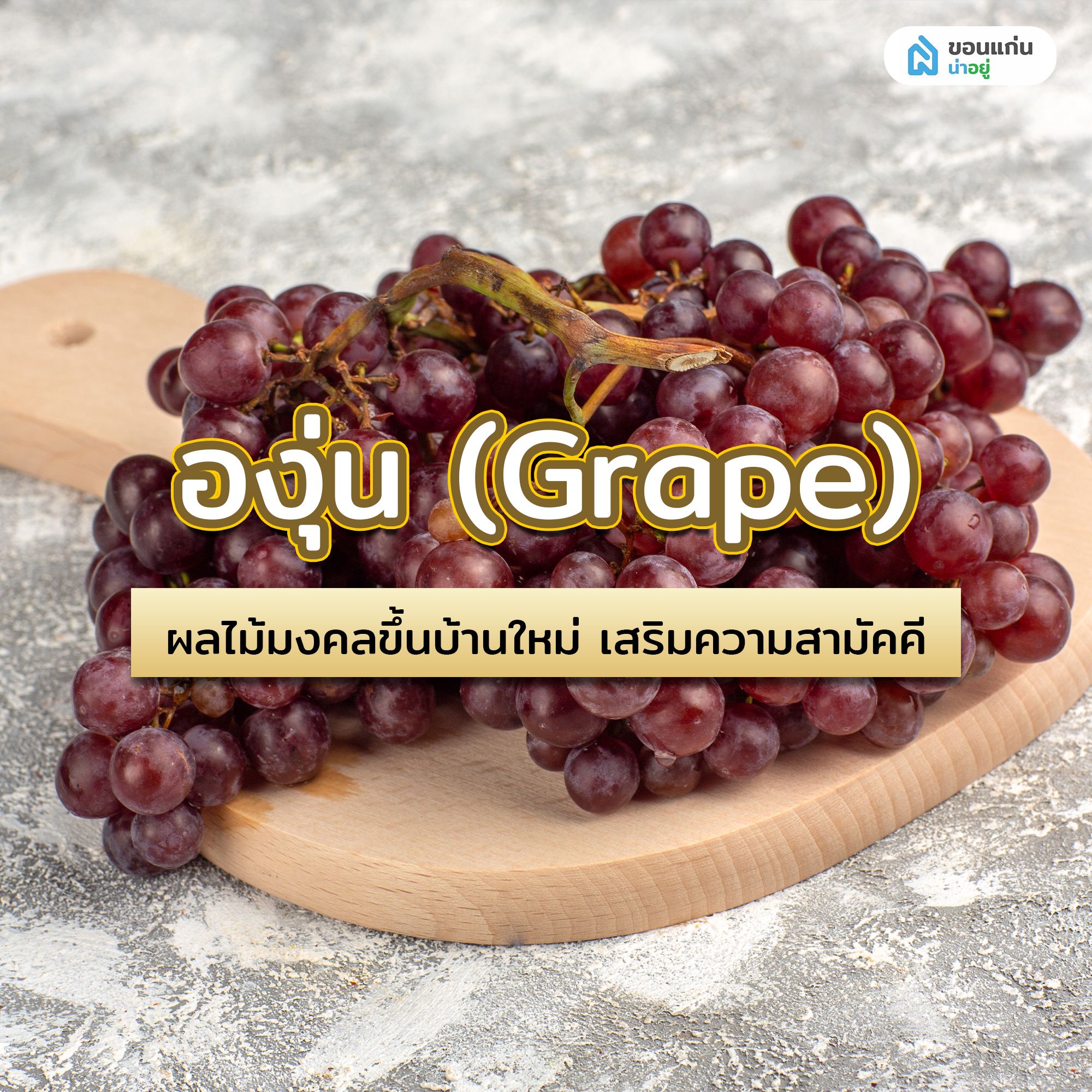 องุ่น (Grape) ผลไม้มงคลขึ้นบ้านใหม่ เสริมความสามัคคี