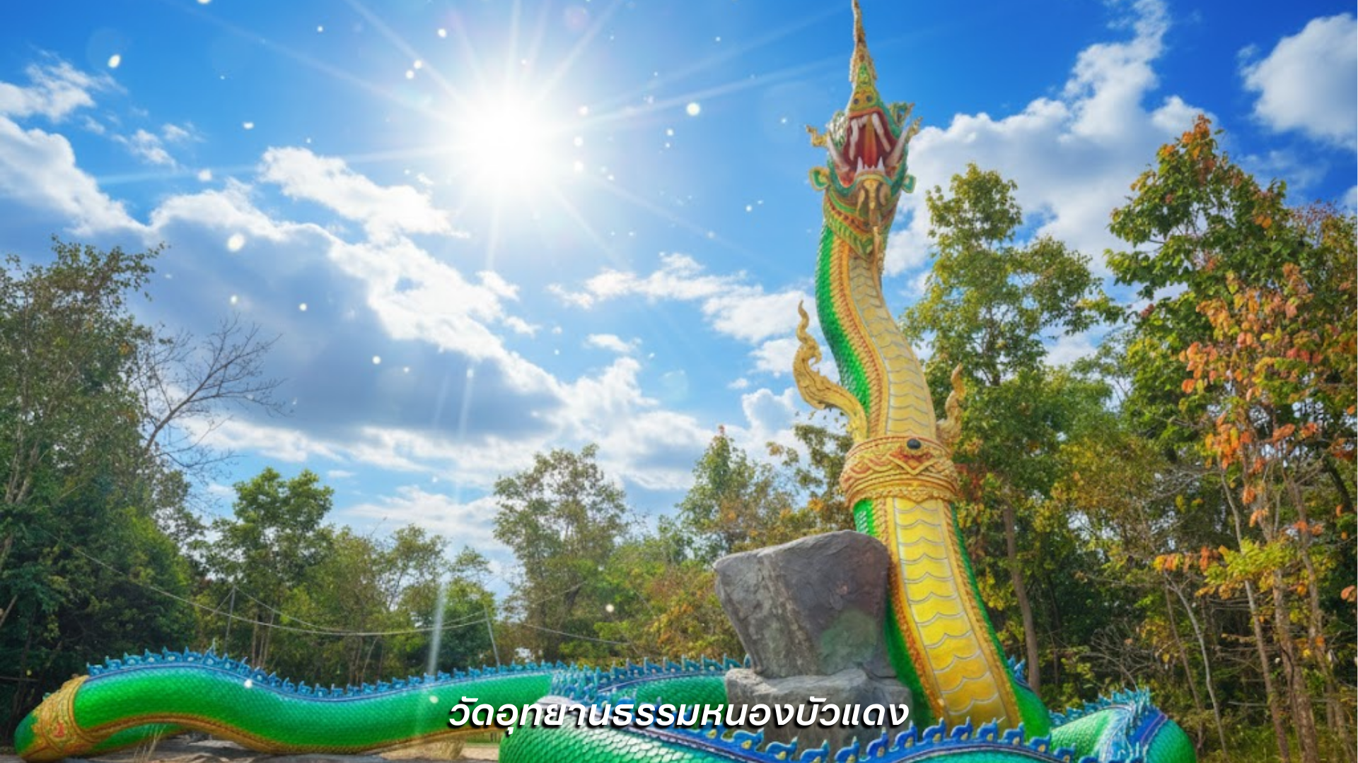 วัดอุทยานธรรมหนองบัวแดง
