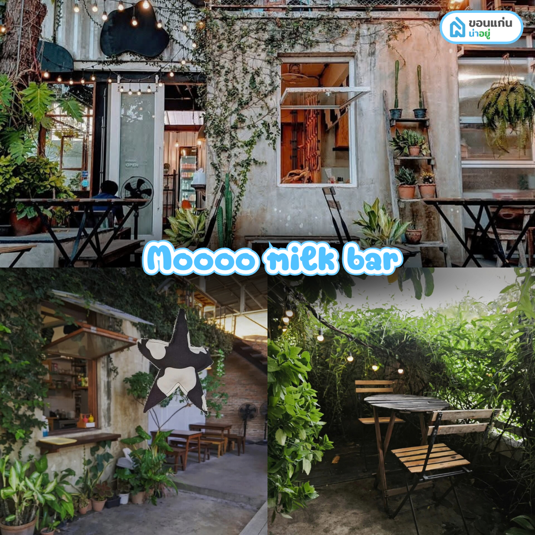 คาเฟ่มข. Moooo milk bar