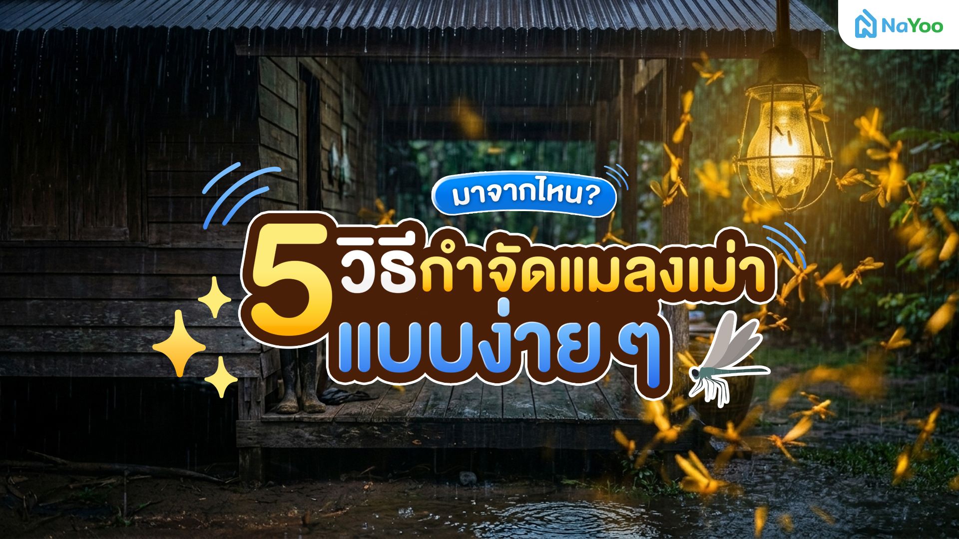 แมลงเม่ามาจากไหน