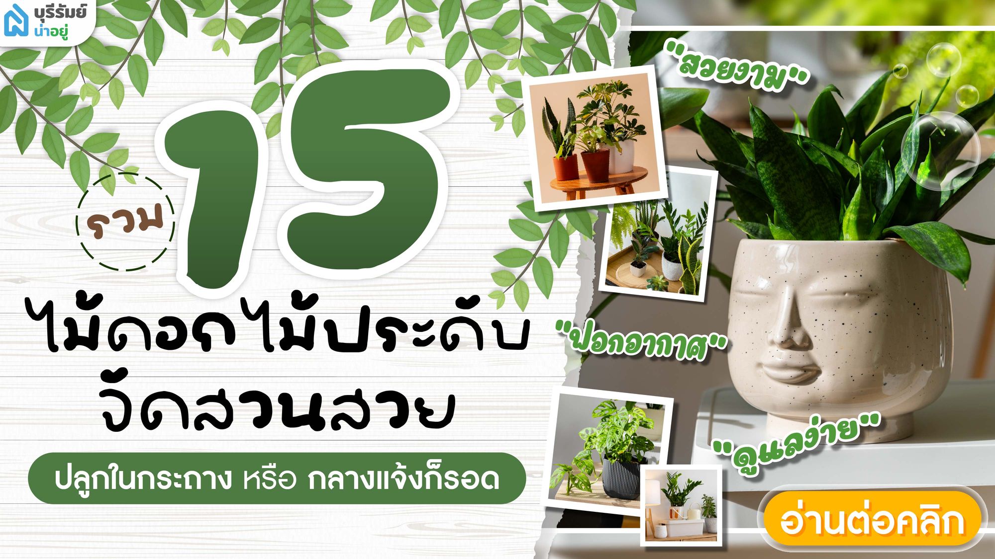 ไม้ประดับมีอะไรบ้าง ที่ปลูกง่าย ทนแดด ทนฝน