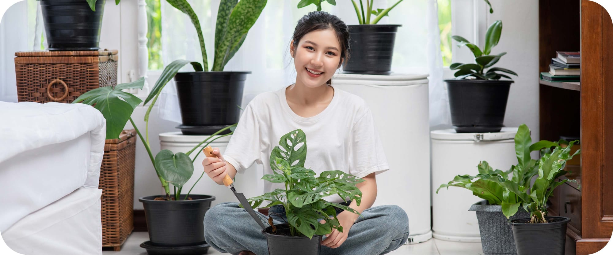 ช่วยกรองฝุ่นควันและฟอกอากาศให้บริสุทธิ์