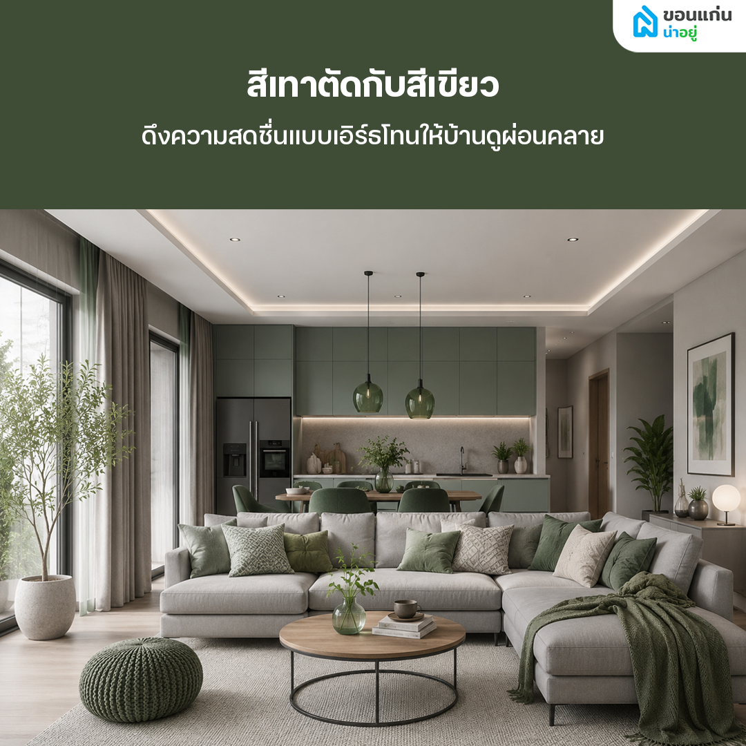 สีเทาตัดกับสีเขียว