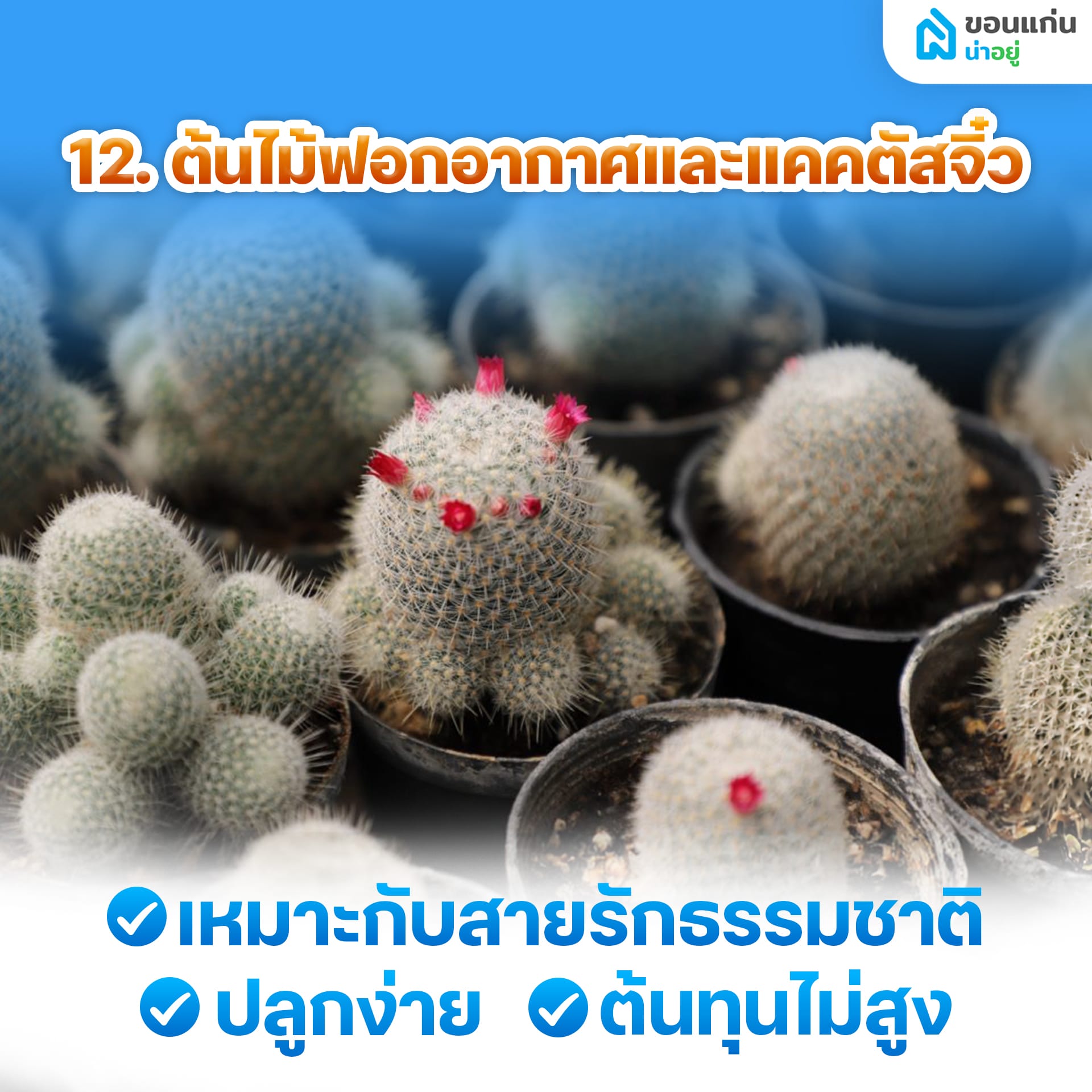 อยู่บ้านเฉยๆ ทําอะไรขายดี ให้มีเงินเข้ากระเป๋าทุกวัน?