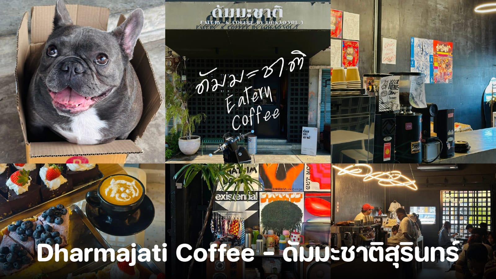 Dharmajati Coffee - ดัมมะชาติสุรินทร์