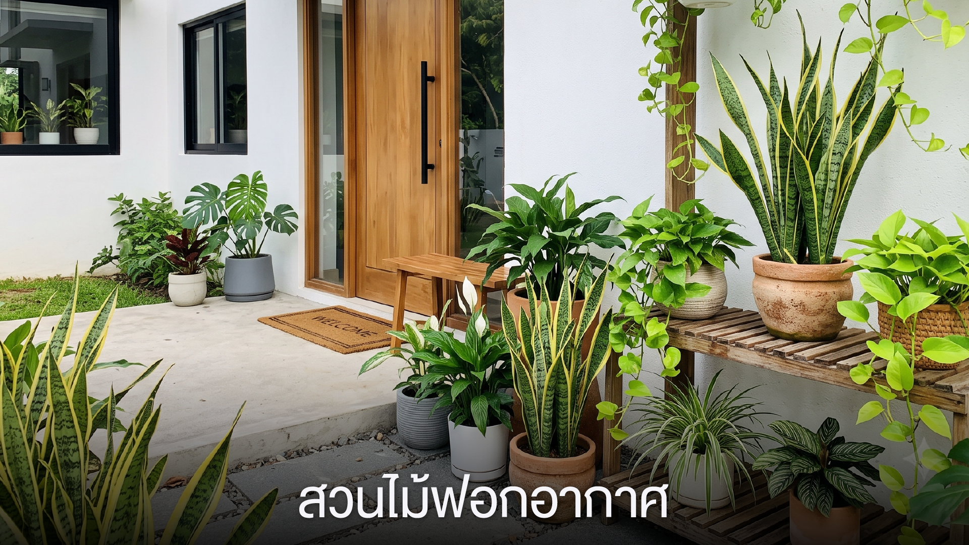 สวนไม้ฟอกอากาศ