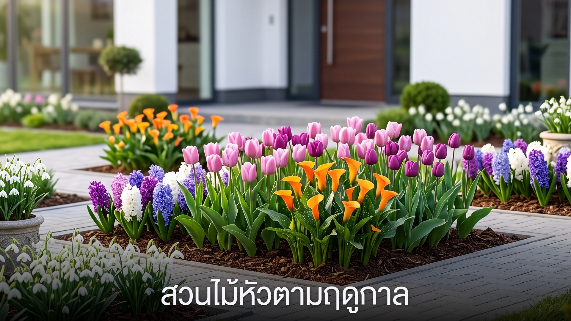 สวนไม้หัวตามฤดูกาล